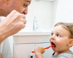 Oral Health Toolkit